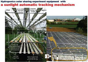 如何实现水耕栽培一体化的营农型光伏发电