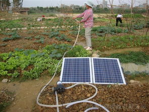 供应太阳能抽水灌溉系统 高扬程太阳能抽水 专业太阳能抽水系统厂家 广西太阳能抽水系统厂家